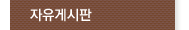 자유게시판